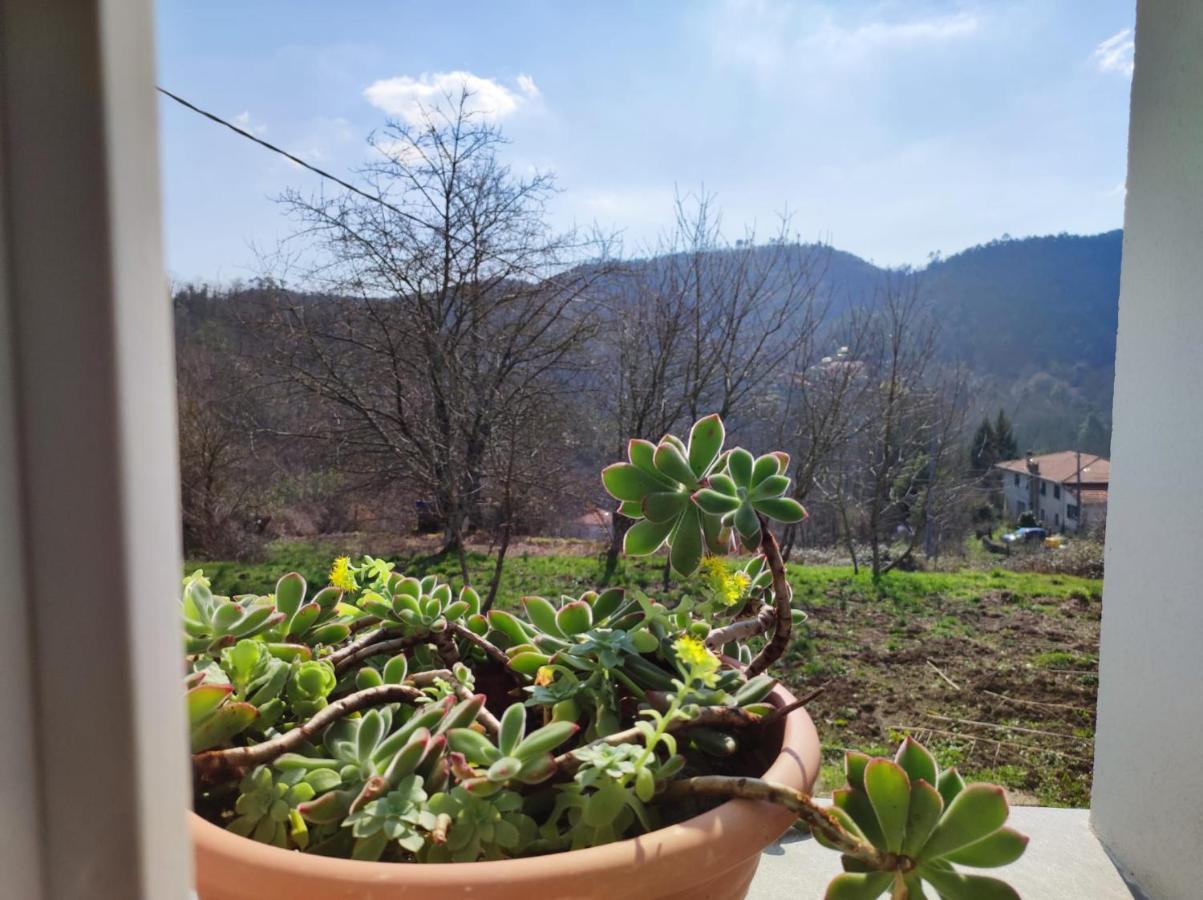 Willa Casa Dei Giuggioli Vernazza Zewnętrze zdjęcie